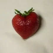 苺の画像