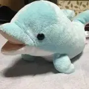 さかなぁ