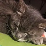 O3の画像