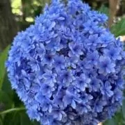 KEY(コピペNG)の画像
