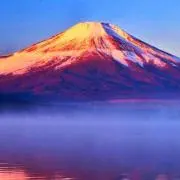 つばめの画像