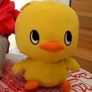 はせゆうの画像