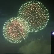 うさぎの画像