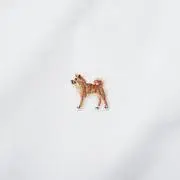 マンダリンの画像
