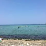 2015☆の画像