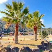 りおの画像
