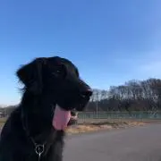 ☆えるん☆