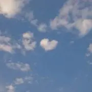 tennotasukeの画像