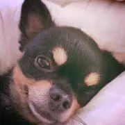 ゆちる