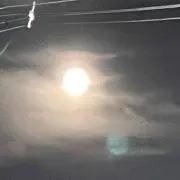 mitの画像