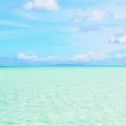 まさえすの画像