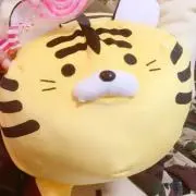 かえで。の画像