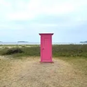ひちゃの画像