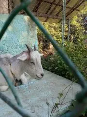 meyの画像