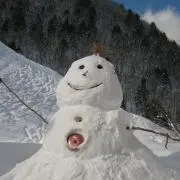 まゆの画像