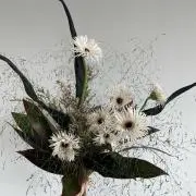 m i r uの画像