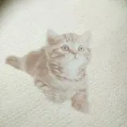 みぃママの画像