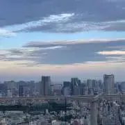 tomの画像