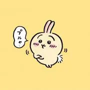 綾乃の画像
