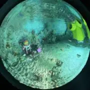 宮沢の画像