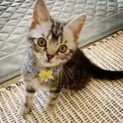 またる✰⋆。