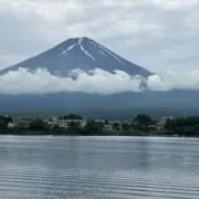 さかちゃんの画像