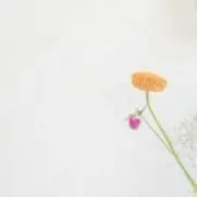 MOMOの画像