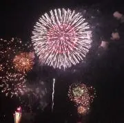 みかんの画像