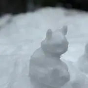宇佐の画像