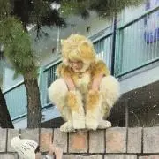 トラみつ☆の画像