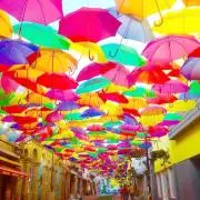 ちゃむちの画像
