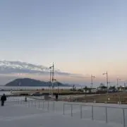ｍｏｒｉの画像