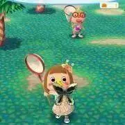 ぱぴこの画像