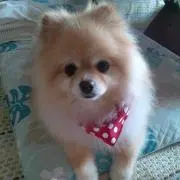 きよぴー