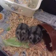 優太朗の画像