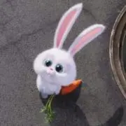 떡の画像