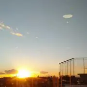 クロの画像