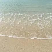 ♡アミ♡