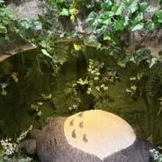 せきの画像