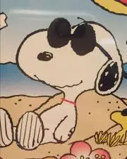 Yの画像