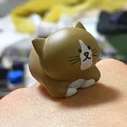 YSの画像