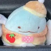 すてぃっちの画像