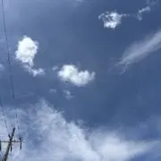 すーの画像