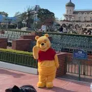ちゃんの画像