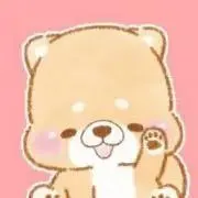 sibaの画像