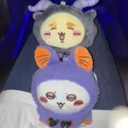 suiの画像