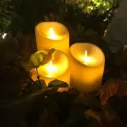 ミケ　匿名配送のみの画像