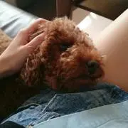 ぐりの画像