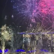 ハナの画像