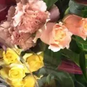 みいちゃんの画像